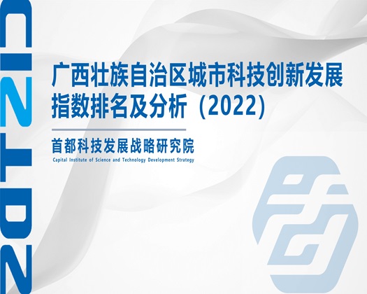 美女白虎被艹艹【成果发布】广西壮族自治区城市科技创新发展指数排名及分析（2022）